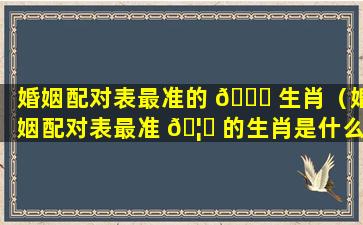 婚姻配对表最准的 🐈 生肖（婚姻配对表最准 🦍 的生肖是什么）